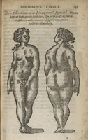 An illustration from La physionomie humaine de Jean Baptiste Porta...diviséee en quatre livres...premiere edition (1655)
