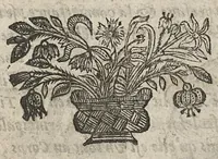 An illustration from La physionomie humaine de Jean Baptiste Porta...diviséee en quatre livres...premiere edition (1655)