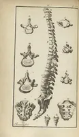 An illustration from L'anatomie de l'homme suivant la circulation du sang, & les dernières découvertes, démontrées au Jardin royal... (1690)