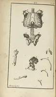 An illustration from L'anatomie de l'homme suivant la circulation du sang, & les dernières découvertes, démontrées au Jardin royal... (1690)