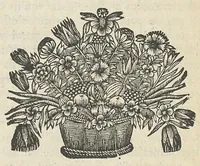 An illustration from L'anatomie de l'homme suivant la circulation du sang, & les dernières découvertes, démontrées au Jardin royal... (1690)