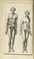An illustration from L'anatomie de l'homme suivant la circulation du sang, & les dernières découvertes, démontrées au Jardin royal... (1690)