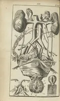 An illustration from L'anatomie de l'homme suivant la circulation du sang, & les dernières découvertes, démontrées au Jardin royal... (1690)