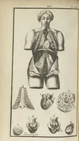 An illustration from L'anatomie de l'homme suivant la circulation du sang, & les dernières découvertes, démontrées au Jardin royal... (1690)