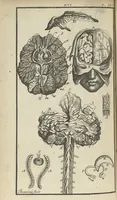 An illustration from L'anatomie de l'homme suivant la circulation du sang, & les dernières découvertes, démontrées au Jardin royal... (1690)