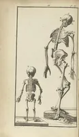 An illustration from L'anatomie de l'homme suivant la circulation du sang, & les dernières découvertes, démontrées au Jardin royal... (1690)