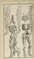 An illustration from L'anatomie de l'homme suivant la circulation du sang, & les dernières découvertes, démontrées au Jardin royal... (1690)