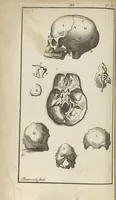 An illustration from L'anatomie de l'homme suivant la circulation du sang, & les dernières découvertes, démontrées au Jardin royal... (1690)