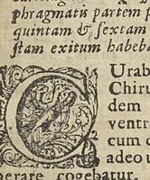 An illustration from Steph. Blancardi Anatomia practica rationalis, sive rariorum cadaverum morbis denatorum anatomica inspectio. Accedit item tractatus novus de circulatione sanguinis per tubulos deque eorum valvulis, etc (1688)