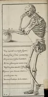 An illustration from Nouvelle histoire des os, selon les anciens et les modernes enrichie de vers. Divisée en deux parties (1685)