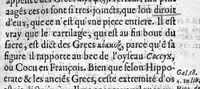 An illustration from Osteologie ou histoire generale des os du corps humain (1604)