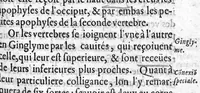 An illustration from Osteologie ou histoire generale des os du corps humain (1604)