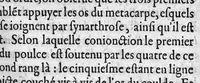 An illustration from Osteologie ou histoire generale des os du corps humain (1604)