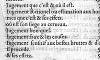 An illustration from Des natures et complexions des hommes, et d’une chacune partie d’iceux et aussi des signes par lesquels on peut discerner la diversité d’icelles. Œuvre tres-utile aux Chirurgiens, et à tous ceux, qui desirent sçavoir leur Nature et complexion. Par M. Jaques Aubert Vandomois, Medecin (1571)