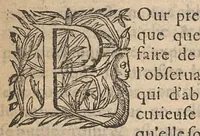 An illustration from Les veritez anatomiques et chirurgicales des organes de la respiration... (1639)