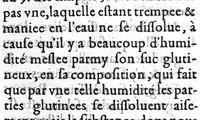 An illustration from Antigigantologie ou contre discours de la grandeur des géans... (1618)