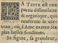 An illustration from L'anatomie de la teste et de ses parties [suivi de ] Chapitre singulier tiré de Guidon pour l'instruction des etudians en chirurgie, divisé en deux parties, et enrichi de vers (1689)