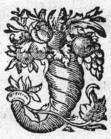An illustration from Nicolai Stenonis Observationes anatomicae quibus varia oris, oculorum et narium vasa describuntur, novique salivae, lacrymarum et muci fontes deteguntur, et novum nobilissimi Bilsii de lymphae motu et usu commentum examinatur et rejicitur (1662)