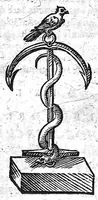Picture 4 of 7 from De formandis medicinae studiis et schola medica constituenda (1607), leaf 38