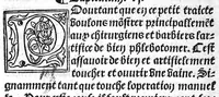 An illustration from Phlebotomie artificielle utile aulx medecins, et tresnecessaire à tous chirurgiens et barbiers instructive quant et comment il fault artificiellement phlebotomer toutes veines du corps humain, novellement composee par Mons. maistre Guilliaulme du Puis, medecin ordinaire du tresvenerable et noble convent de sainct Chiefz. Et citoyen de la tresrenommee Cite de Grenoble en Daulphine, (1536)