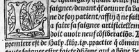 An illustration from Phlebotomie artificielle utile aulx medecins, et tresnecessaire à tous chirurgiens et barbiers instructive quant et comment il fault artificiellement phlebotomer toutes veines du corps humain, novellement composee par Mons. maistre Guilliaulme du Puis, medecin ordinaire du tresvenerable et noble convent de sainct Chiefz. Et citoyen de la tresrenommee Cite de Grenoble en Daulphine, (1536)