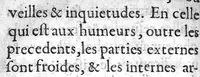 An illustration from Le preservatif contre la peste avec moyen de garir ceux qui en sont affligez... (1621)