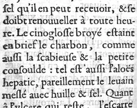 An illustration from Le preservatif contre la peste avec moyen de garir ceux qui en sont affligez... (1621)