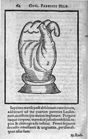 Picture 7 of 9 from De Combustionibus quae oleo et aqua fervida, ferro candente, pulvere tormentario, fulmine ... (1607), leaf 79