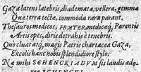 An illustration from Gynaeciorum commentarius (1616)