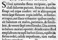 An illustration from Gynaeciorum commentarius (1616)