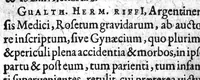 An illustration from Gynaeciorum commentarius (1616)