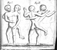 An illustration from Les Nouvelles descouvertes sur toutes les parties de la médecine recueillies ... par N. D. B., chirurgien du Roy, maistre et juré à Paris (1679)