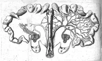 An illustration from Le Temple d'Esculape, ou le Dépositaire des nouvelles découvertes qui se font journellement dans toutes les parties de la médecine / ... recueillies... par Nicolas de Blégny,... (1680)