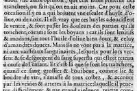 An illustration from La premiere et seconde partie des erreurs populaires, touchant la Medecine et le regime de santé. Par M. Laur. Joubert, Conseiller et Medecin ordinaire du Roy de France et de Navarre, premier Docteur Regent, Chancelier et Juge de l’Université de Medecine de Montpellier. Avec plusieurs autres petits traitez, lesquels sont specifiez en la page suyvante (1601)