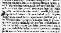 An illustration from La premiere et seconde partie des erreurs populaires, touchant la Medecine et le regime de santé. Par M. Laur. Joubert, Conseiller et Medecin ordinaire du Roy de France et de Navarre, premier Docteur Regent, Chancelier et Juge de l’Université de Medecine de Montpellier. Avec plusieurs autres petits traitez, lesquels sont specifiez en la page suyvante (1601)