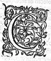 An illustration from Medicinalium observationum libri tres (1560)