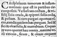 An illustration from Hippocratis Chirurgia de Medico; de vulneribus; de hæmorrhoidibus; de fistulis; de vulneribus capitis, nunc primum Graece restituta, Latinitate donata, et commentariis illustrata. A. Steph. Manialdo ... (1619)