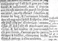 An illustration from Les aphorismes d’Hippocrate avec le commentaire de Galien sur le premier livre, ...derniere edition... (1615)