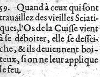 An illustration from Les aphorismes d'Hippocrate avec son serment, mis en françois par le Sr. de Mirabeau... (1643)