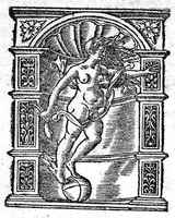 Picture 10 of 10 from Scribonii Largi,... de Compositione medicamentorum liber, jampridem Jo. Ruellii opera e tenebris erutus... Antonii Benivenii libellus de abditis... ac mirandis morborum et sanationum causis. Polybus de salubri victus ratione privatorum, Guinterio Joanne Andernaco interprete (1529), leaf 335