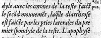 An illustration from Le livre des oz de Cl. Galien aux apprentis en Medecine, traduit de Grec en François, et illustré des commentaires de Jaques Sylvius lecteur du Roy en Medecine à Paris, aussi translatez de Latin en François. Par maistre Jean Loïne, demourant A Orleans, (1561)