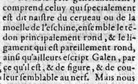 An illustration from Le livre des oz de Cl. Galien aux apprentis en Medecine, traduit de Grec en François, et illustré des commentaires de Jaques Sylvius lecteur du Roy en Medecine à Paris, aussi translatez de Latin en François. Par maistre Jean Loïne, demourant A Orleans, (1561)