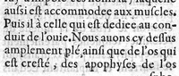 An illustration from Le livre des oz de Cl. Galien aux apprentis en Medecine, traduit de Grec en François, et illustré des commentaires de Jaques Sylvius lecteur du Roy en Medecine à Paris, aussi translatez de Latin en François. Par maistre Jean Loïne, demourant A Orleans, (1561)