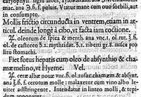 An illustration from De morbis internis, Lib. II (1572)