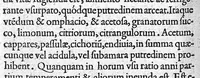 An illustration from De peste libellus (1572)