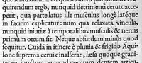 An illustration from De materia chirurgica (1572)