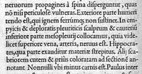 An illustration from De materia chirurgica (1572)