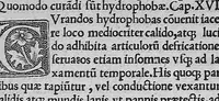 An illustration from Caelii Aureliani methodici siccensis liber celerum vel acutarum passionum qua licuit diligentia recognitus, atque nunc primum in lucem aeditus (1533)