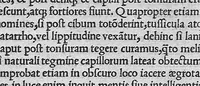 An illustration from Caelii Aureliani methodici siccensis liber celerum vel acutarum passionum qua licuit diligentia recognitus, atque nunc primum in lucem aeditus (1533)