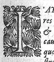 An illustration from La pathologie ou discours des maladies (1655)
